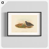2-74_John-Gould_blk