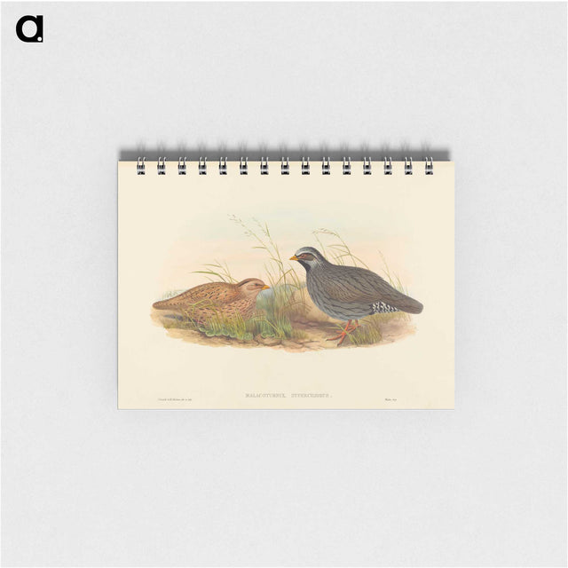 2-74_John-Gould_memo