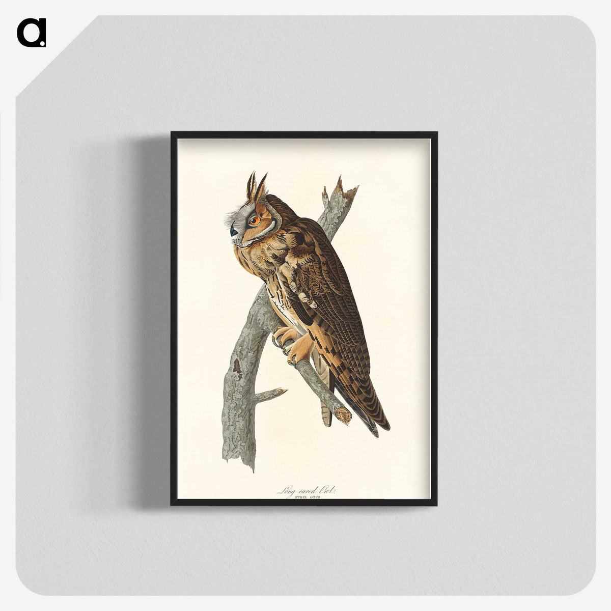 2-74_John-James-Audubon_blk-crop