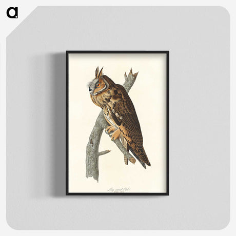 2-74_John-James-Audubon_blk-crop