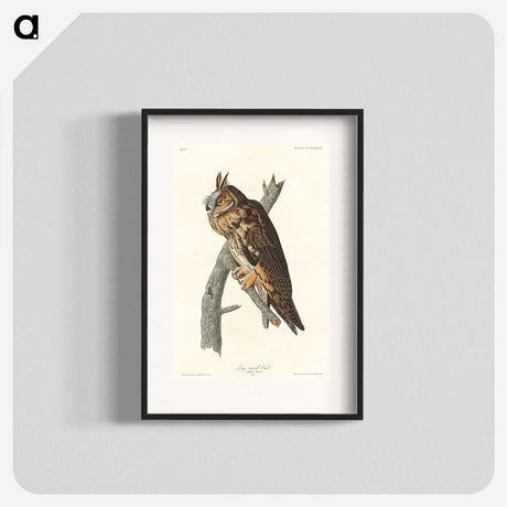 2-74_John-James-Audubon_blk