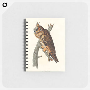 アートメモ帳-Long-Eared Owl
 - ジョン ジェームス オーデュボン Memo.