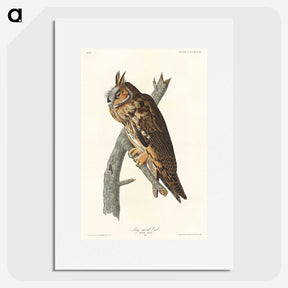 2-74_John-James-Audubon_picture