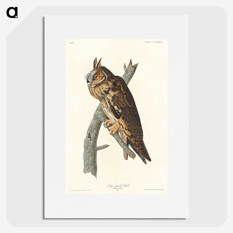 2-74_John-James-Audubon_picture