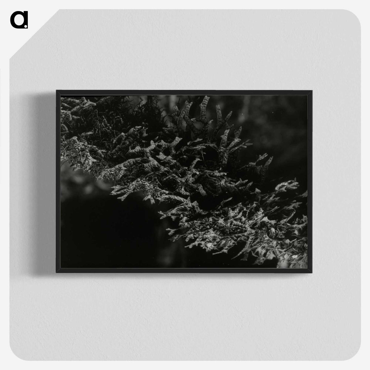 2-74_Leslie-Adkin_blk-crop