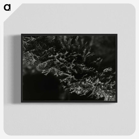 2-74_Leslie-Adkin_blk-crop