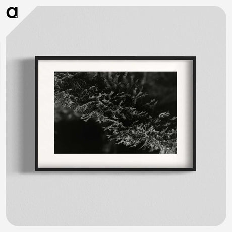 2-74_Leslie-Adkin_blk