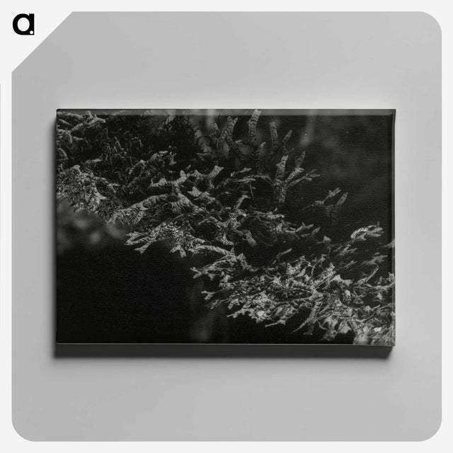 2-74_Leslie-Adkin_canvas