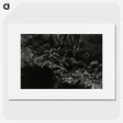 2-74_Leslie-Adkin_picture