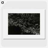 2-74_Leslie-Adkin_picture