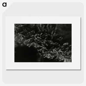 2-74_Leslie-Adkin_picture