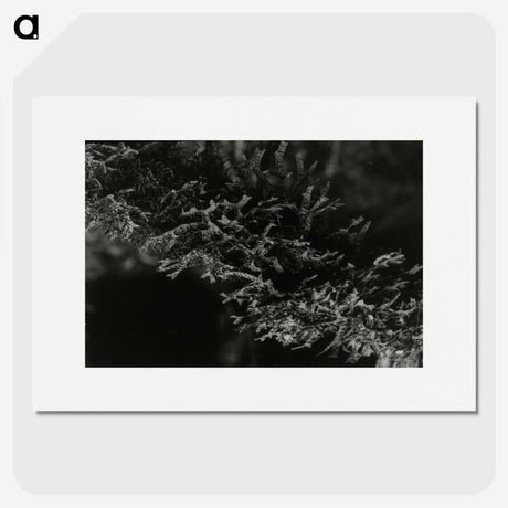 2-74_Leslie-Adkin_picture