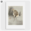 2-74_Ohara-Koson_picture