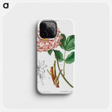 Moutan peony - ピエール ジョゼフ ルドゥーテ Phone Case.