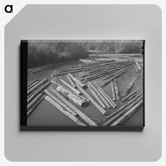 2-74_Russell-Lee_canvas