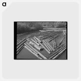 アートポストカード-Long Bell Lumber Company Log Pond
 - ラッセル リー Postcard.