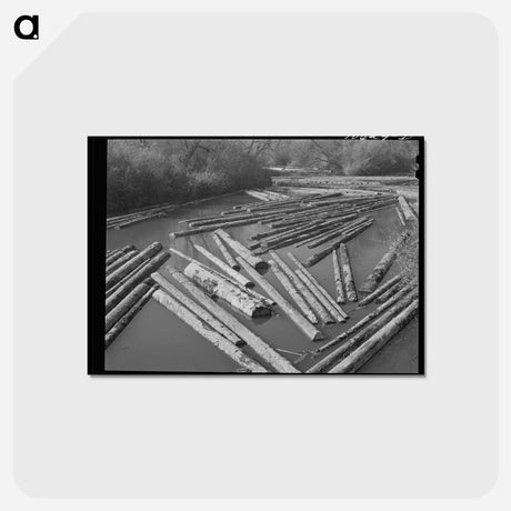 アートポストカード-Long Bell Lumber Company Log Pond
 - ラッセル リー Postcard.