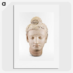 2-74_Saint-Louis-Art-Museum_picture