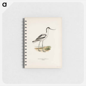 アートメモ帳-Pied Avocet
 - スヴェンスカ フォグラル Memo.