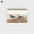 アートメモ帳-Red backed Sandpiper from Birds of America
 - アメリカの鳥たち Memo.