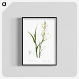 2-74_The-Lilies_blk-crop