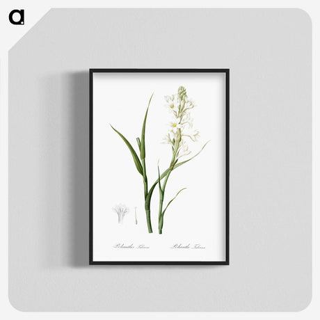 2-74_The-Lilies_blk-crop
