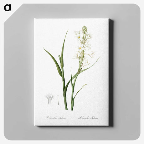 2-74_The-Lilies_canvas