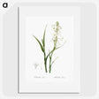 2-74_The-Lilies_picture