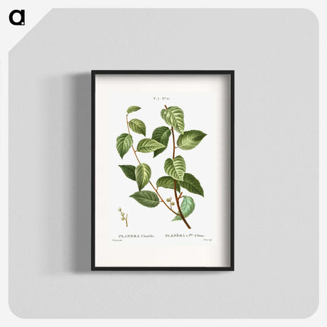 2-74_Treatise-on-Trees-and-Shrubs_blk