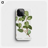 2-74_Treatise-on-Trees-and-Shrubs_phone