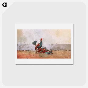 アートポストカード-The Cock Fight - ウィンスロー ホーマー Postcard.