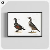 2-74_Zoology-of-New-York_blk-crop
