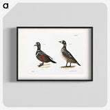 2-74_Zoology-of-New-York_blk