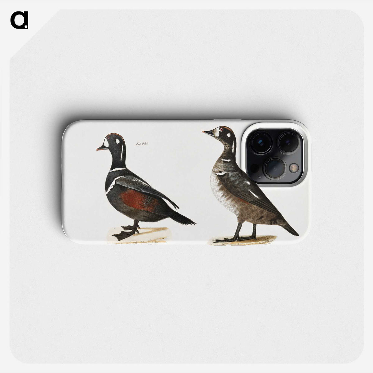 2-74_Zoology-of-New-York_phone