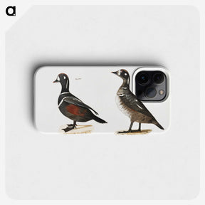 2-74_Zoology-of-New-York_phone