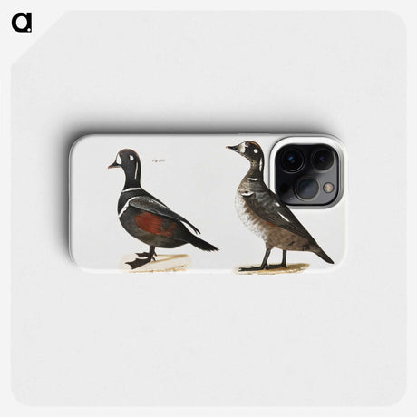 2-74_Zoology-of-New-York_phone