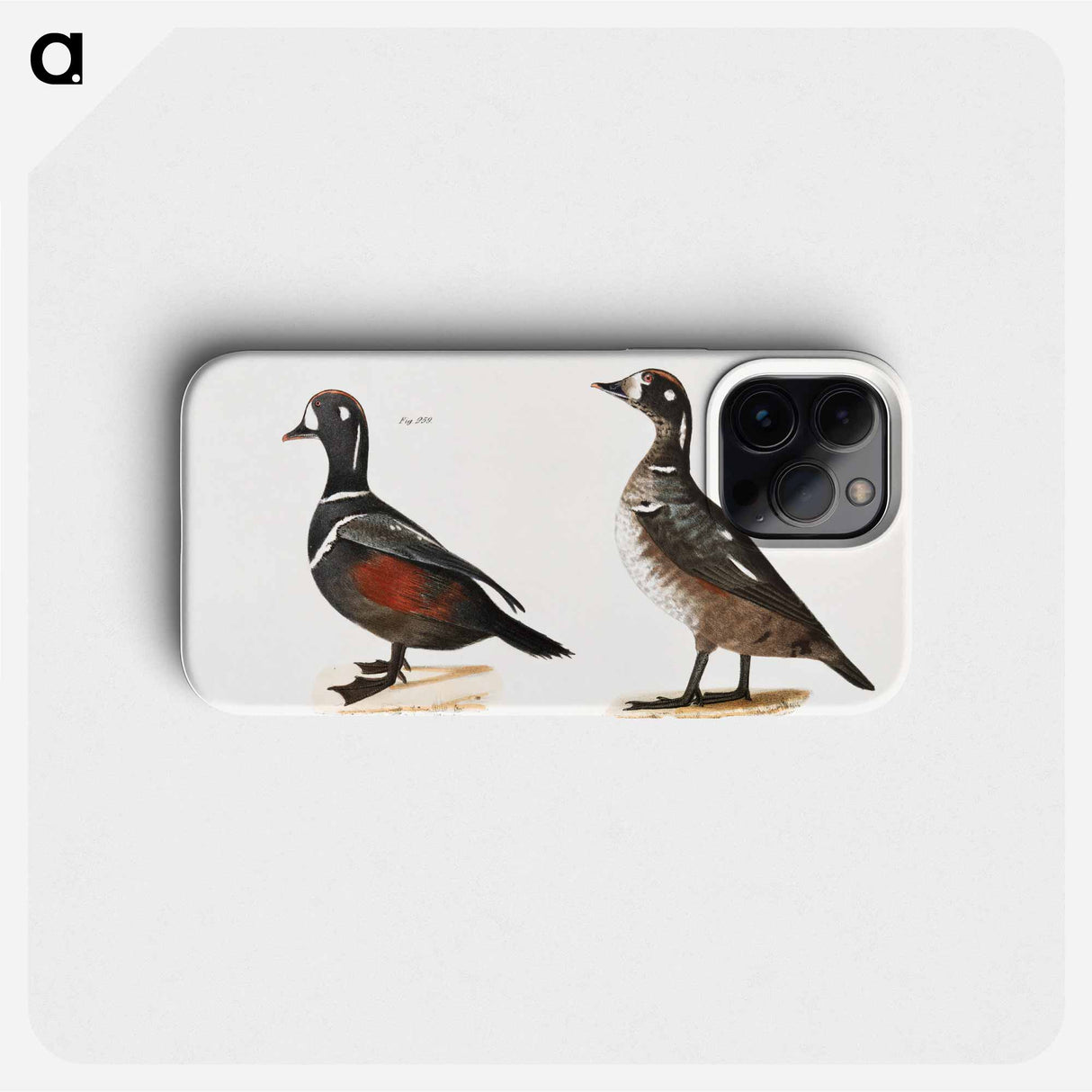 Harlequin Duck - ニューヨークの動物学 Phone Case.