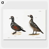 2-74_Zoology-of-New-York_picture-crop