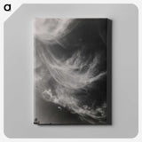 2-75_Alfred-Stieglitz_canvas