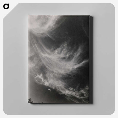 2-75_Alfred-Stieglitz_canvas