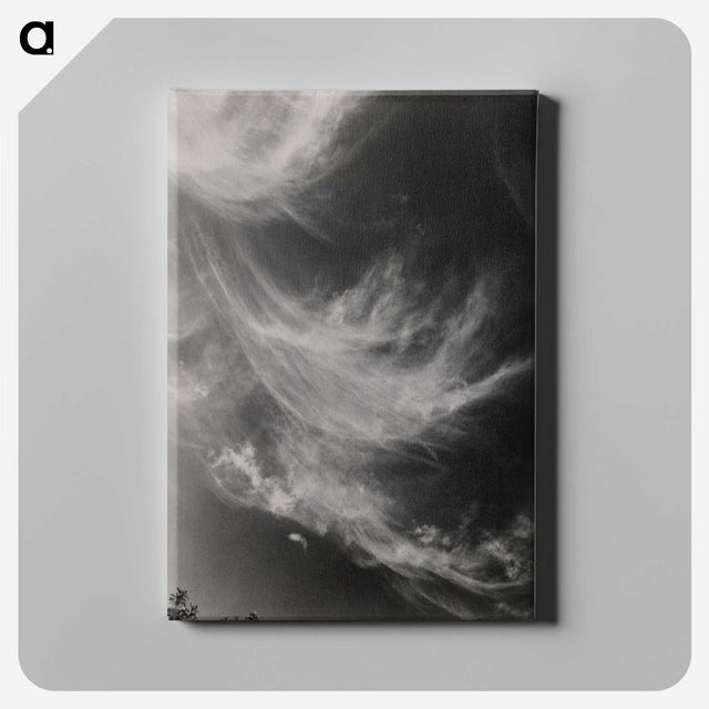 2-75_Alfred-Stieglitz_canvas