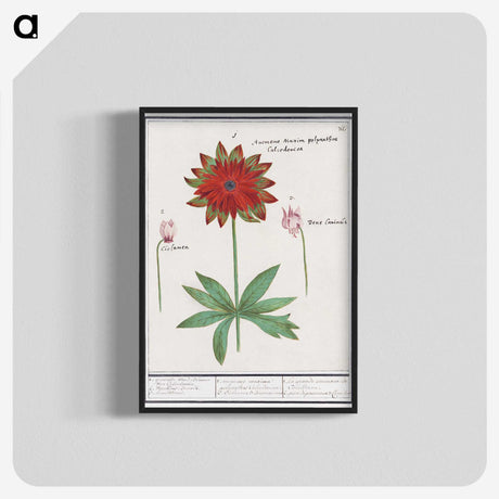 2-75_Anselmus-Boetius-de-Boodt_blk-crop