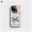 2-75_Anselmus-Boetius-de-Boodt_phone