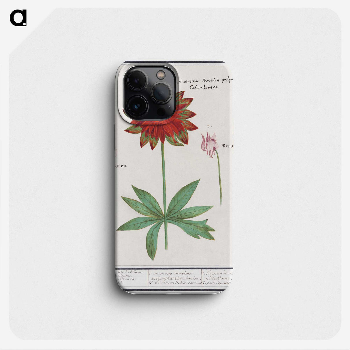 2-75_Anselmus-Boetius-de-Boodt_phone