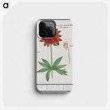 2-75_Anselmus-Boetius-de-Boodt_phone