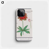 Anemone, Anemone - アンセルムス ボエティウス デ ブート Phone Case.