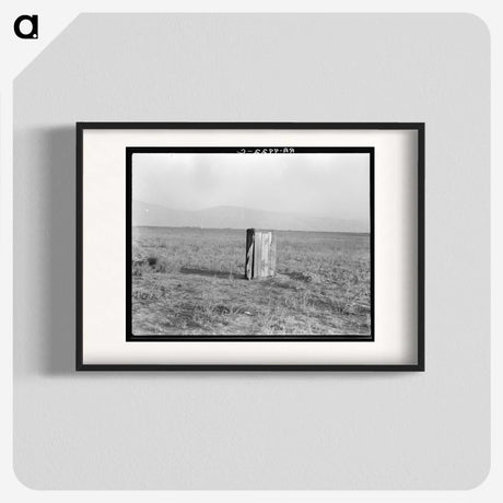 2-75_Dorothea-Lange_blk