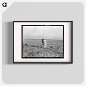 アートポスター-Single tobacco flower - ドロテア ラング Poster.