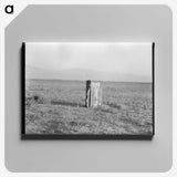 2-75_Dorothea-Lange_canvas