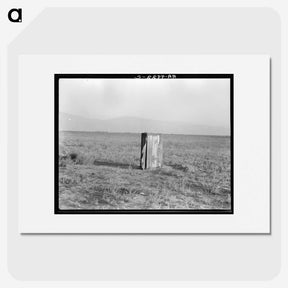 2-75_Dorothea-Lange_picture